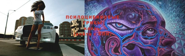 мяу мяу кристалл Михайлов