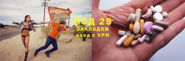 гашик Алагир