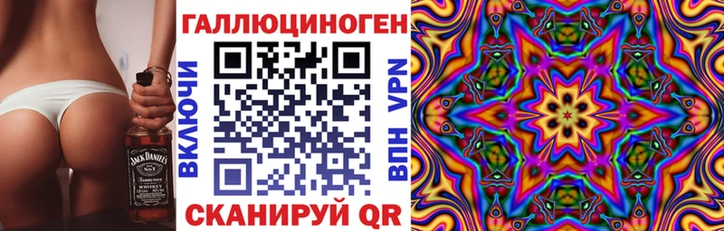 Галлюциногенные грибы Psilocybine cubensis  Староминская 