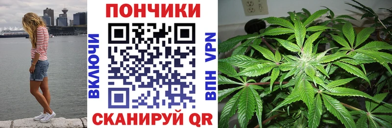 МАРИХУАНА план  Староминская 